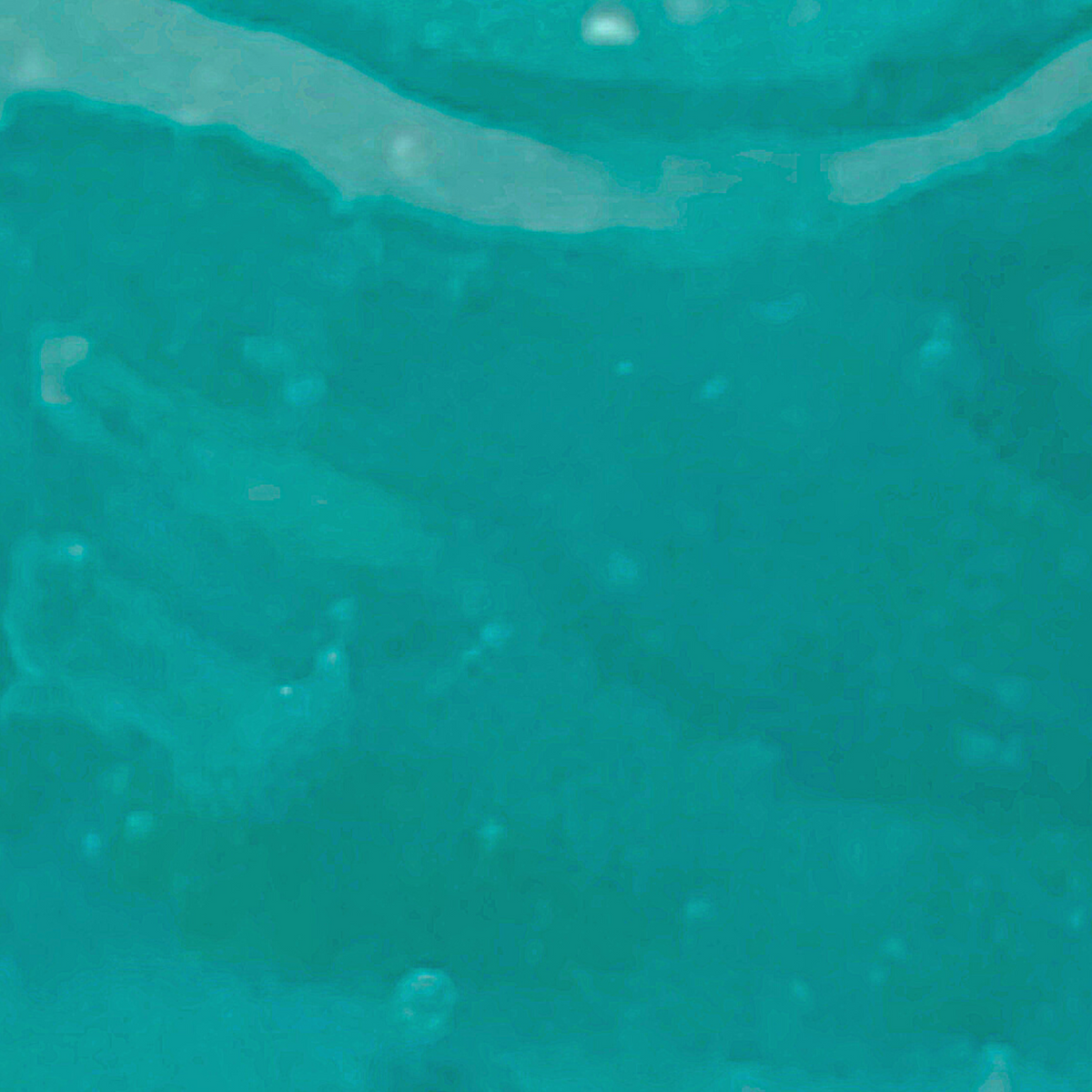 OCEAN JELLY Mask -it's back in stock!